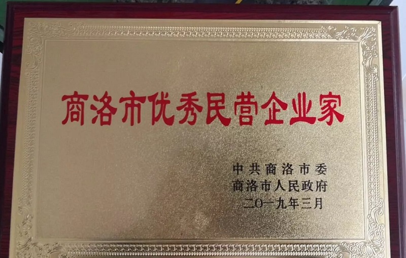 熱烈祝賀李宗松董事長榮獲商洛市優秀企業家